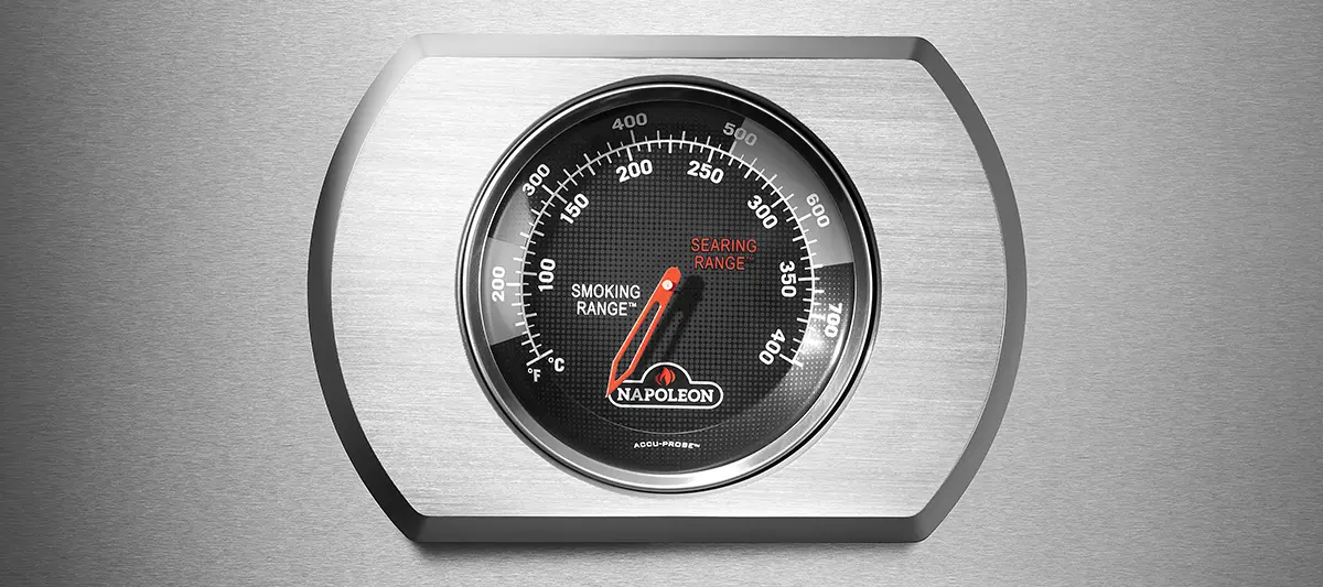 Termometr Accu-Probe Napoleon Rogue PRO-S 625 Termometr Accu-Probe Napoleon Rogue PRO-S 625