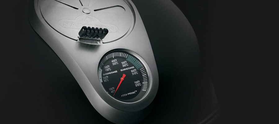 Termometr Accu Probe Termometr Accu Probe